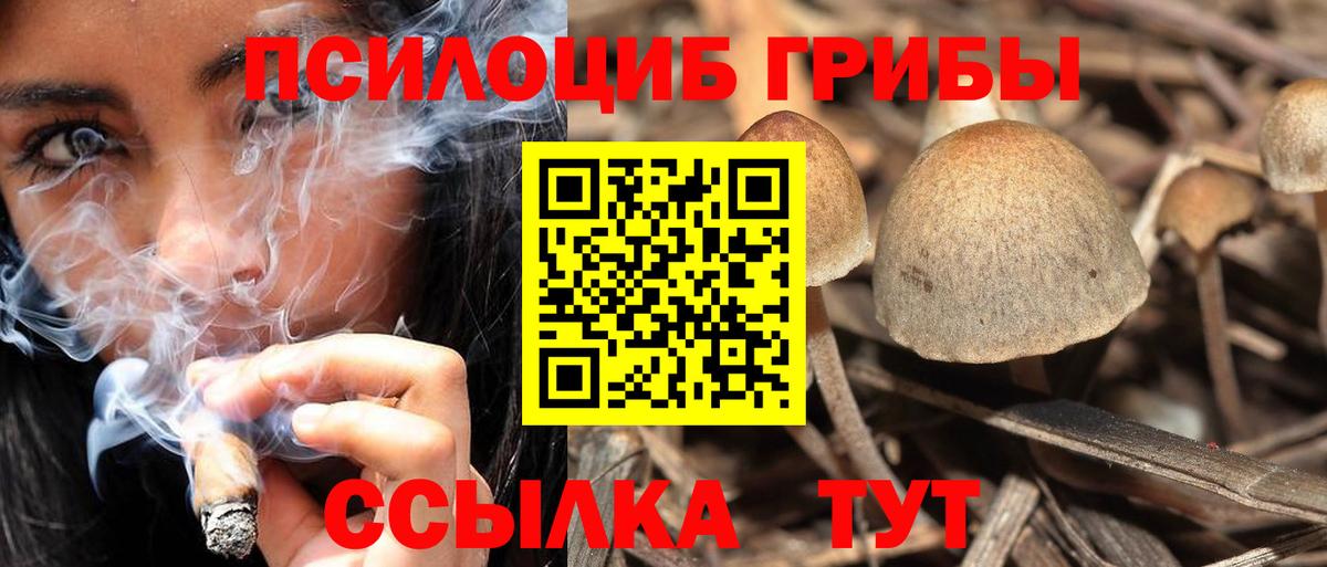 Галлюциногенные грибы мухоморы  Псилоцибиновые грибы GOLDEN TEACHER  Горячий Ключ  Вход с VPN 