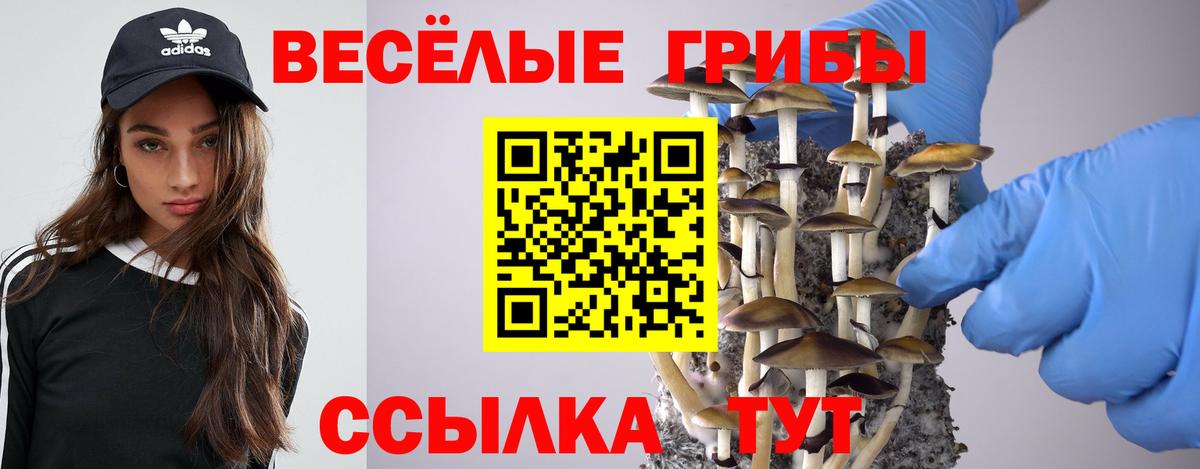 Псилоцибиновые грибы Psilocybe Горячий Ключ